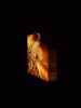 anim240x320_0024.gif
